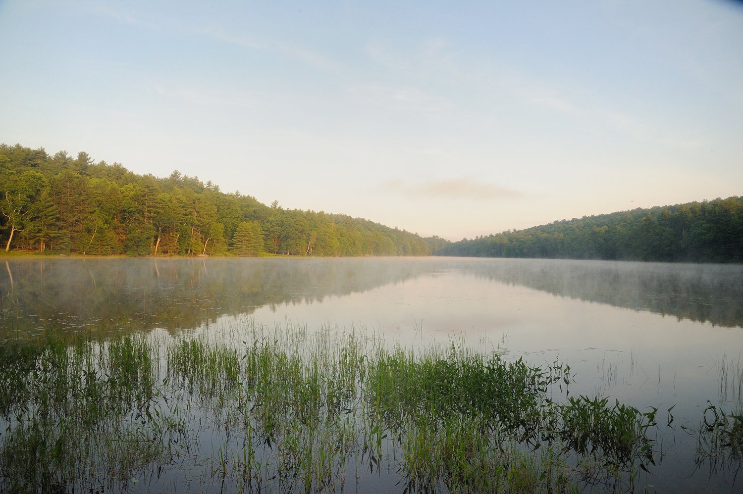 This is Rock Lake, located on the southern area of Ten Mile River Scout Camps. Rock Lake was surveyed during both the 2014 and 2016 Upper Delaware Bioblitz. All of the lakes within the camp are similar in appearance, with only swimming/boating docks and maybe a lodge visible on a typical lake...
